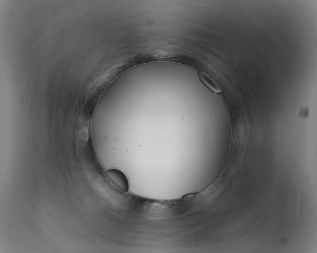 X0000111630180200907311236