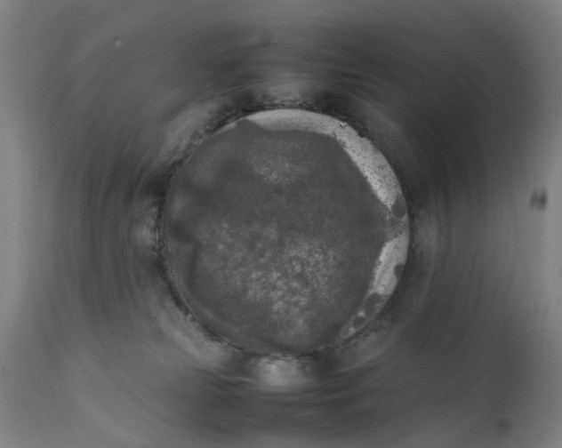 X0000111630181200907311236