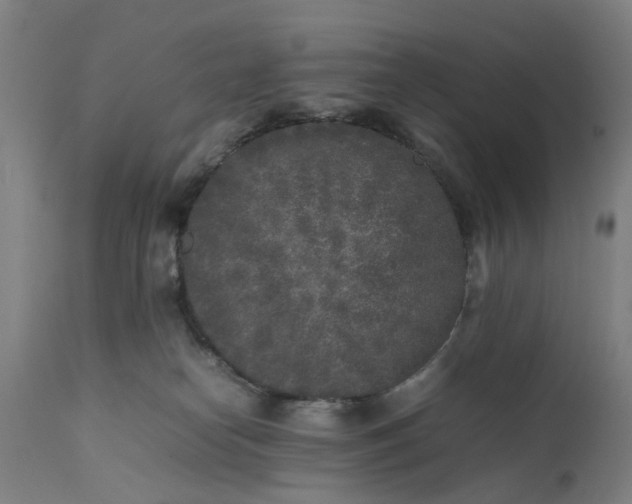 X0000111630182200907311236