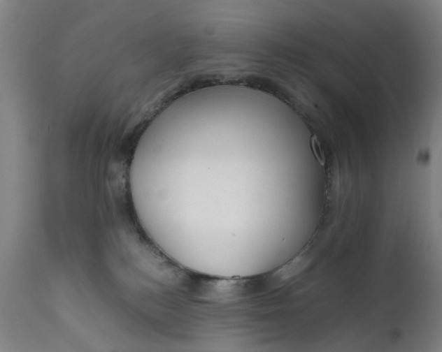 X0000111630184200907311236