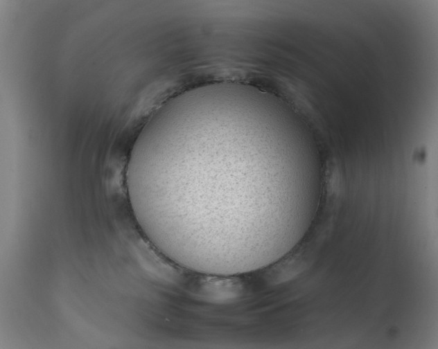 X0000111630185200907311236