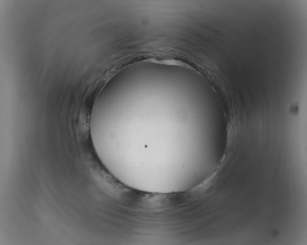 X0000111630186200907311236