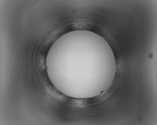 X0000111630187200907311236