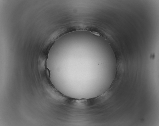 X0000111630188200907311236