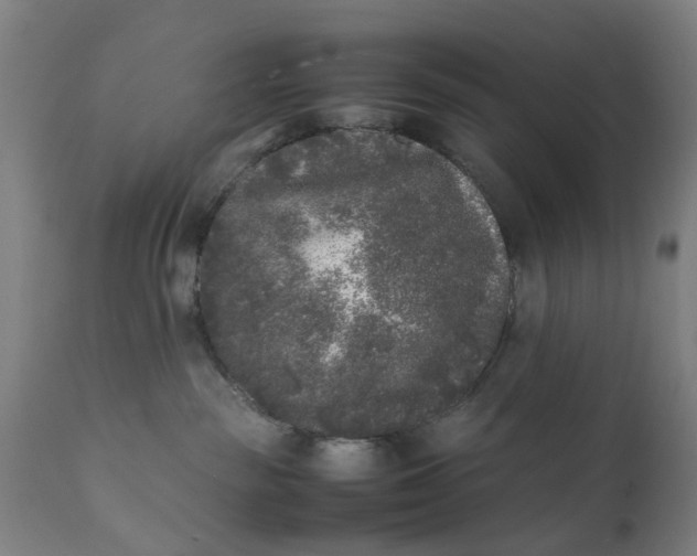 X0000111630189200907311236