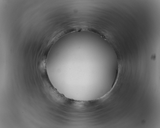 X0000111630190200907311236