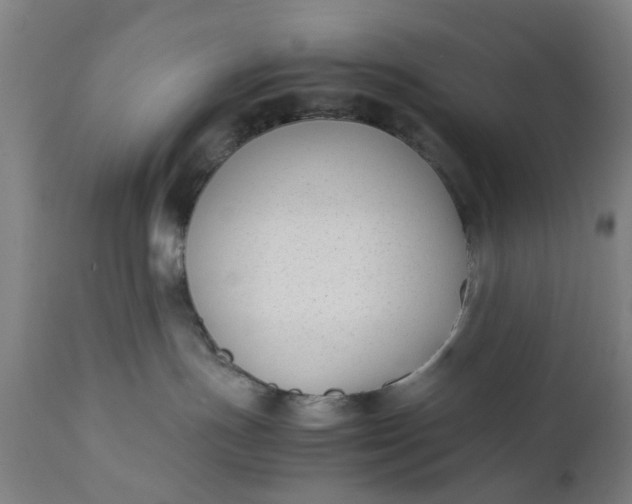 X0000111630191200907311236