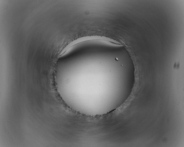 X0000111630192200907311236