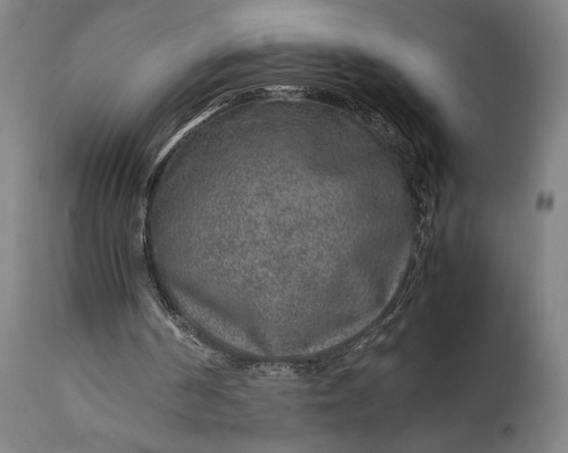 X0000111630194200907311235