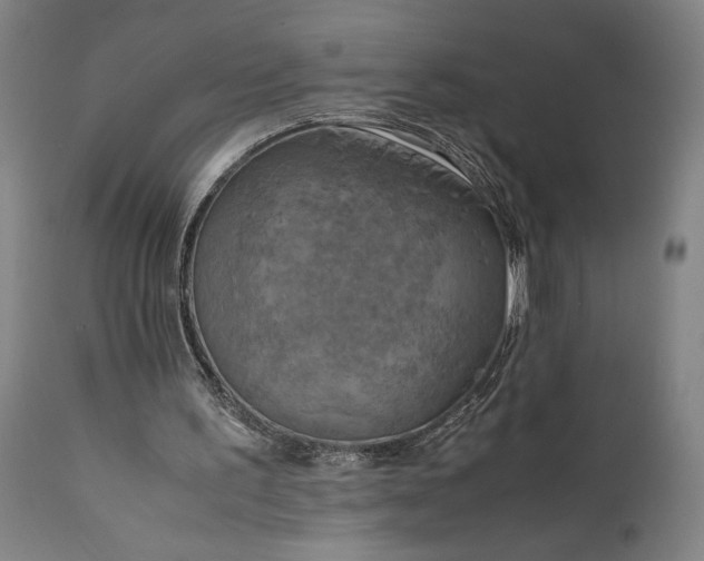 X0000111630195200907311235