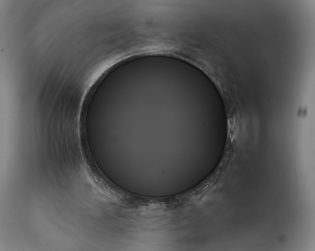 X0000111630196200907311235