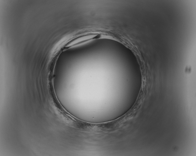 X0000111630197200907311235