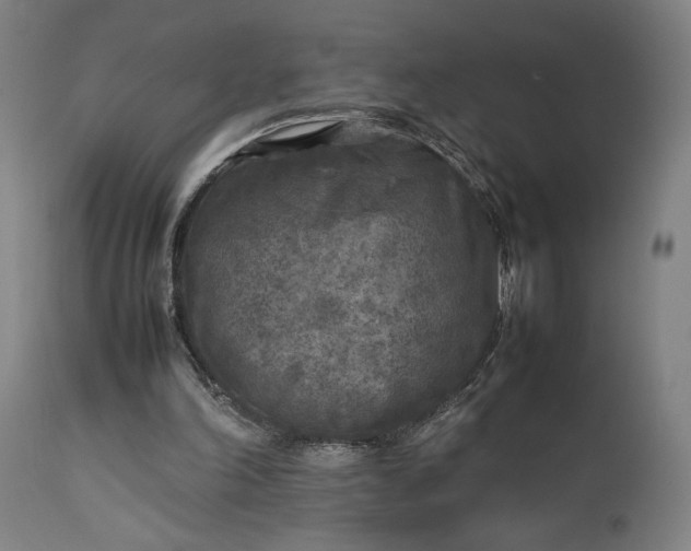 X0000111630198200907311235