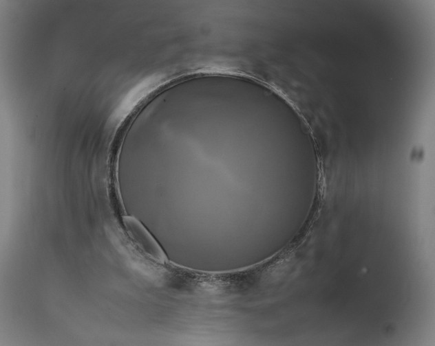 X0000111630199200907311235