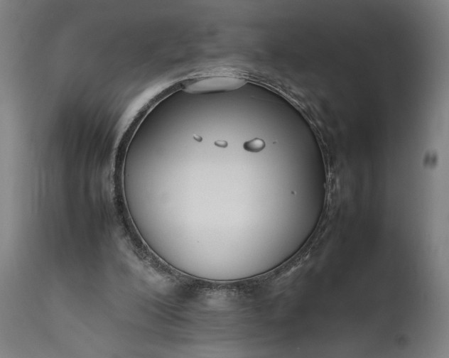 X0000111630200200907311235