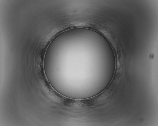 X0000111630201200907311235