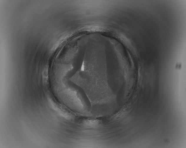 X0000111630202200907311235