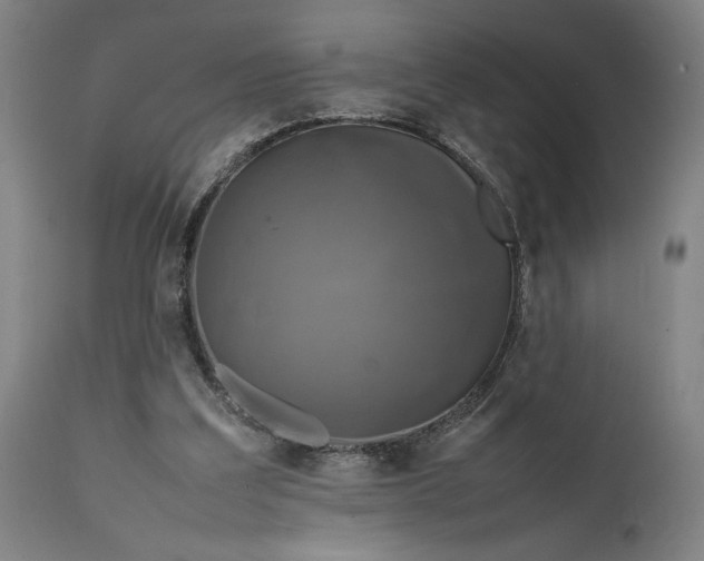 X0000111630203200907311235