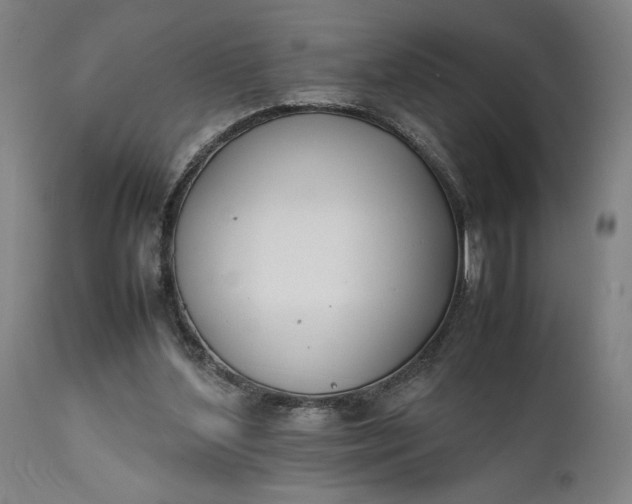 X0000111630204200907311235