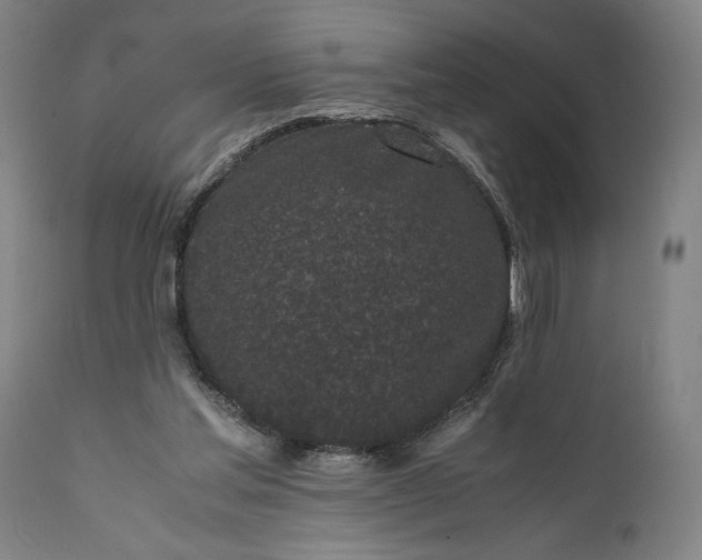 X0000111630205200907311235