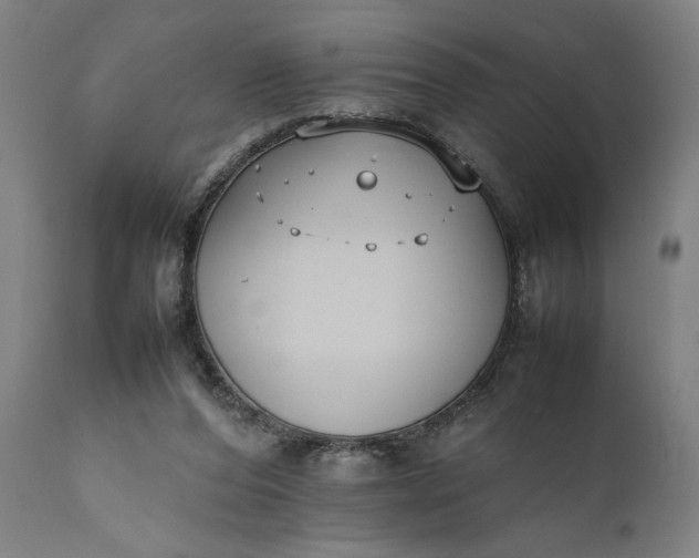 X0000111630208200907311235