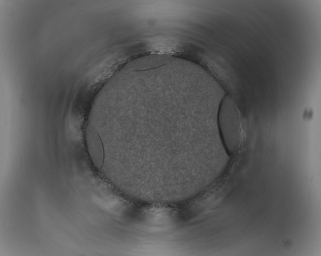 X0000111630209200907311235