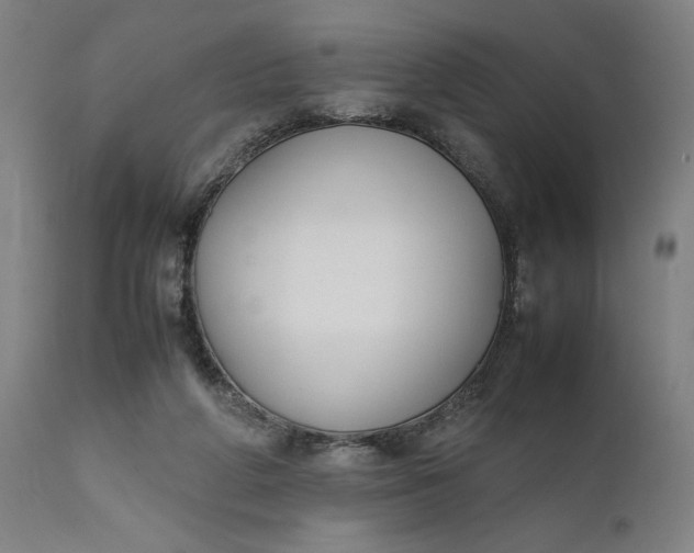 X0000111630210200907311235