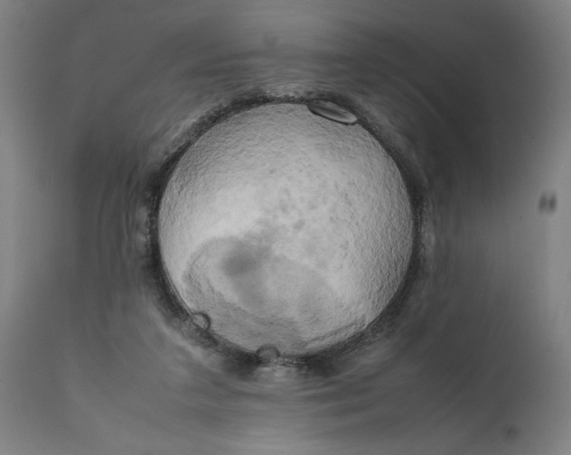 X0000111630211200907311235