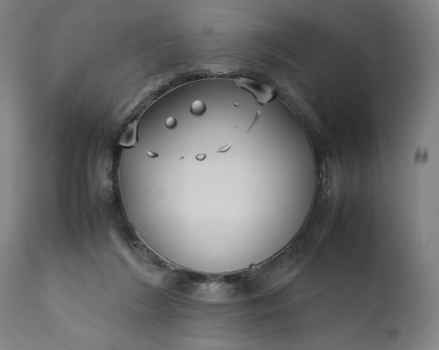 X0000111630212200907311235