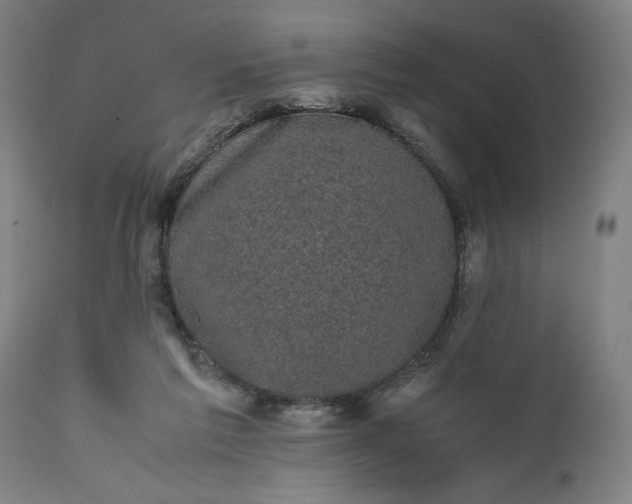 X0000111630213200907311235