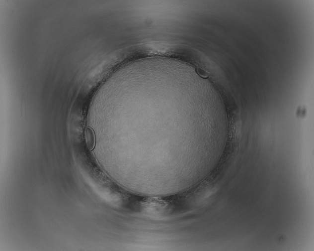 X0000111630215200907311235