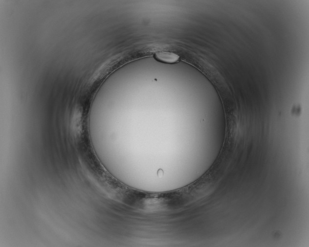 X0000111630216200907311235