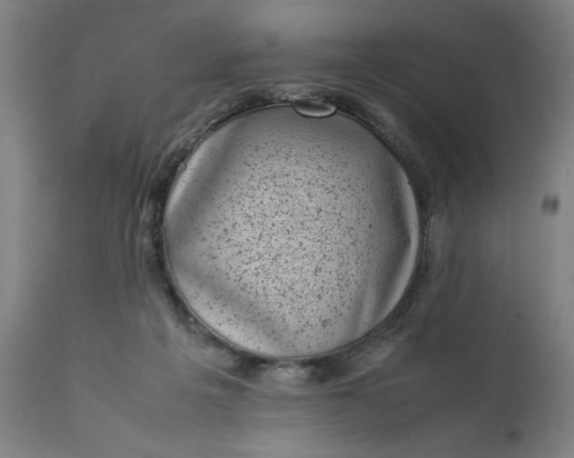 X0000111630217200907311235