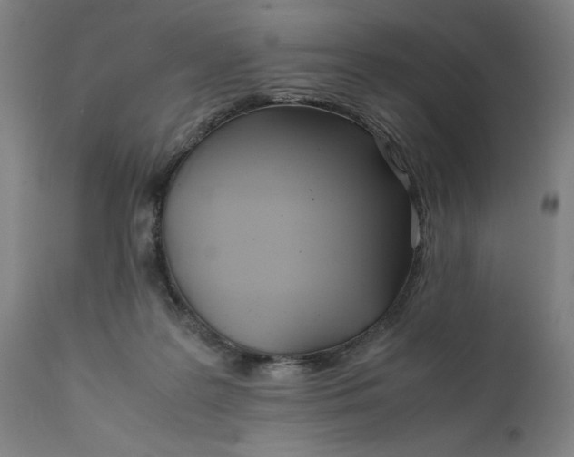 X0000111630219200907311235