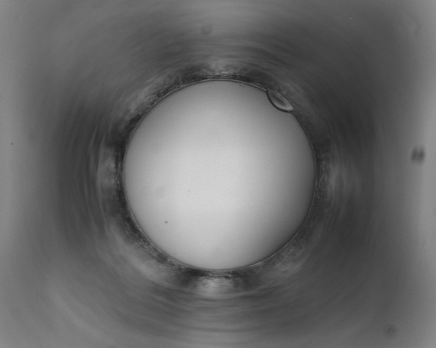 X0000111630220200907311235