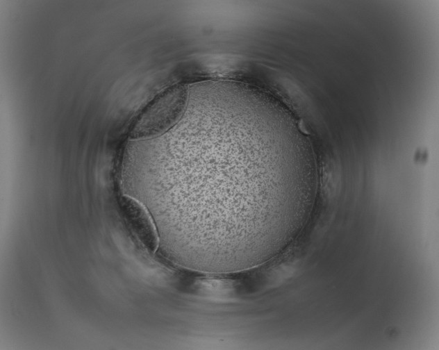 X0000111630221200907311235