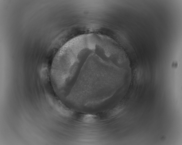 X0000111630222200907311235