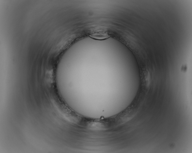 X0000111630224200907311235