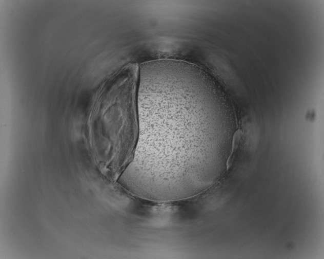 X0000111630225200907311235