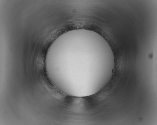 X0000111630226200907311235