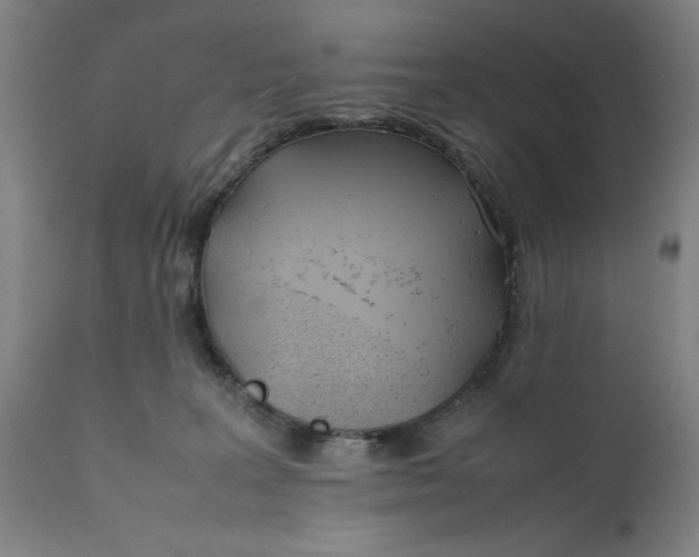 X0000111630227200907311235