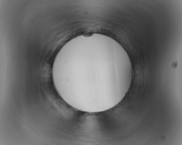 X0000111630228200907311235