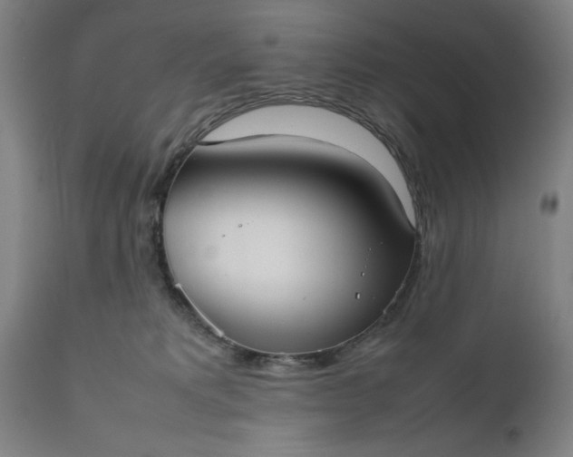 X0000111630229200907311235