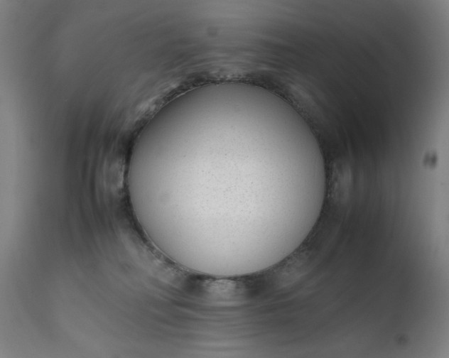 X0000111630230200907311235