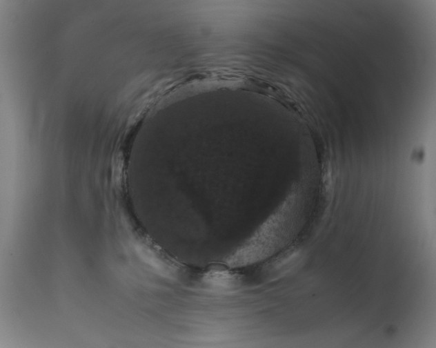 X0000111630231200907311235