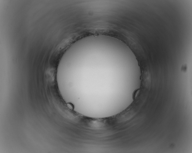 X0000111630232200907311235