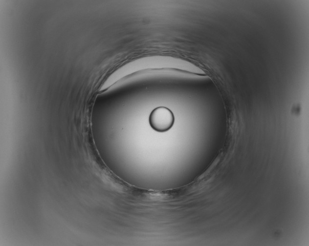 X0000111630233200907311235