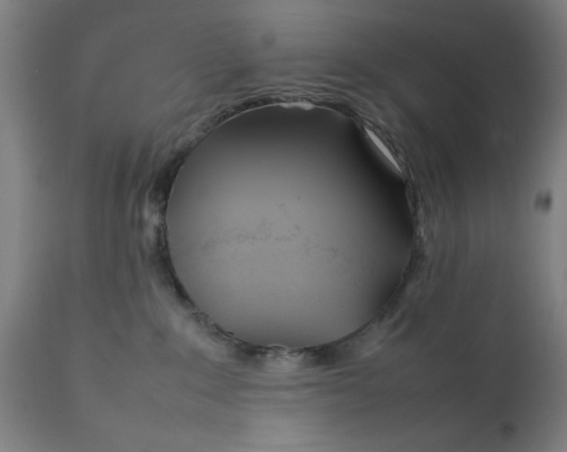 X0000111630235200907311235