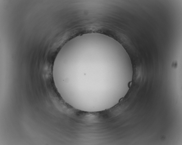 X0000111630236200907311235