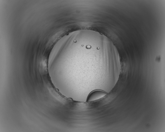 X0000111630238200907311235